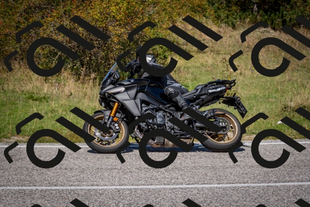 202509061246-DSC_1670_c2