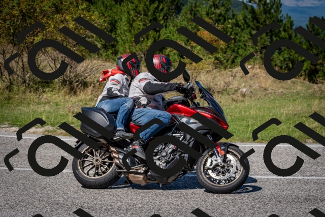 202509061246-DSC_1675_c2