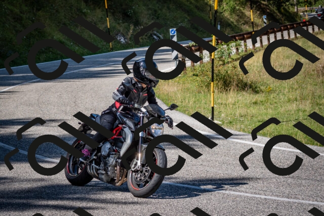 202509061246-DSC_1676_c2