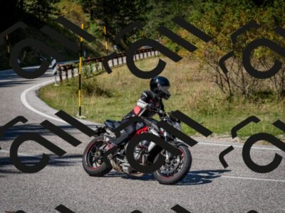 202509061246-DSC_1677_c2