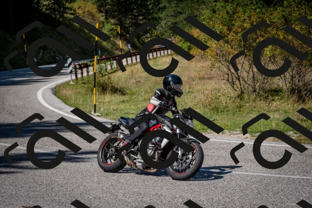 202509061246-DSC_1677_c2