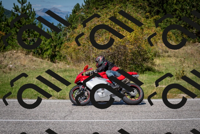 202509061246-DSC_1682_c2