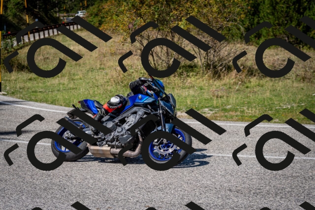 202509061246-DSC_1684_c2