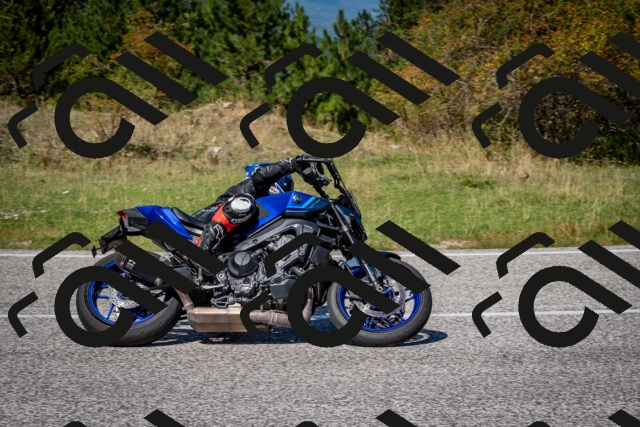 202509061246-DSC_1685_c2