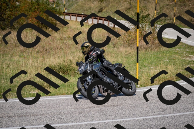 202509061246-DSC_1686_c2