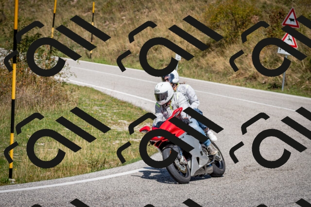 202509061247-DSC_1690_c2