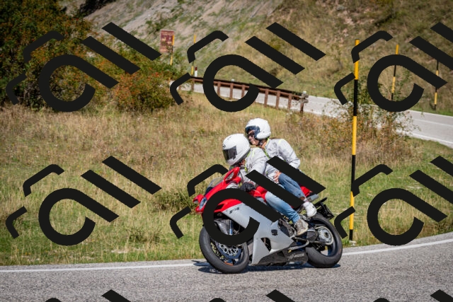 202509061247-DSC_1691_c2