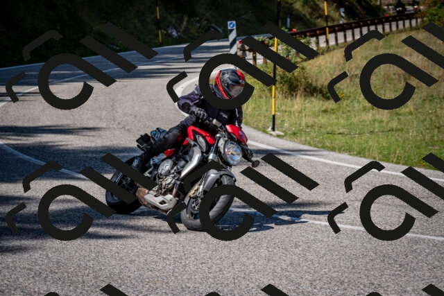 202509061247-DSC_1694_c2