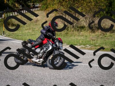 202509061247-DSC_1695_c2