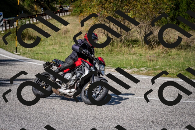 202509061247-DSC_1695_c2