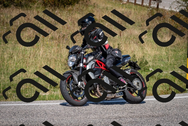 202509061248-DSC_1697_c2