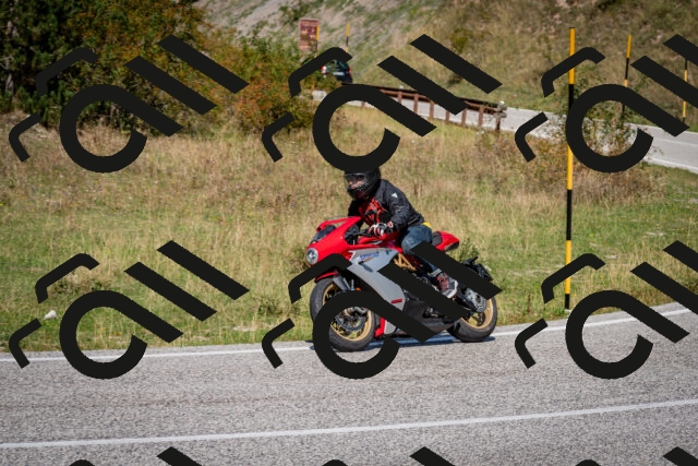 202509061248-DSC_1699_c2