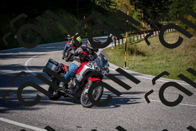 202509061248-DSC_1709_c2