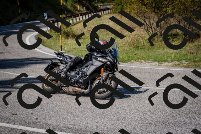 202509061248-DSC_1714_c2