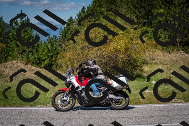 202509061249-DSC_1720_c2