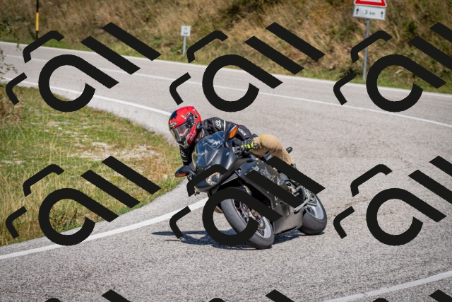 202509061249-DSC_1726_c2