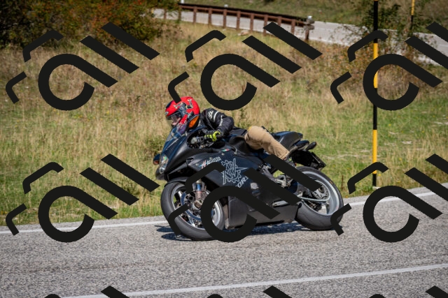 202509061249-DSC_1727_c2