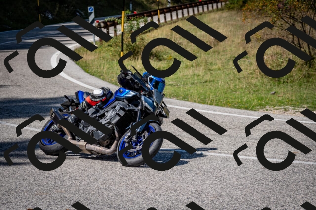 202509061249-DSC_1731_c2