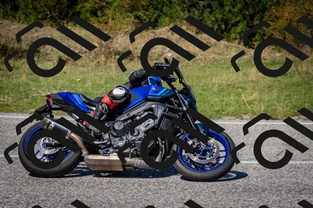 202509061249-DSC_1732_c2