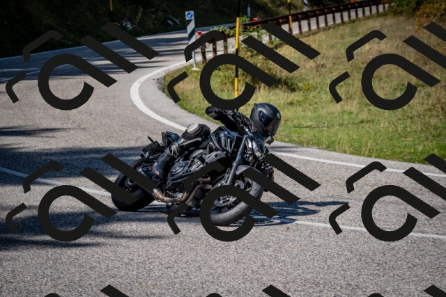 202509061249-DSC_1733_c2