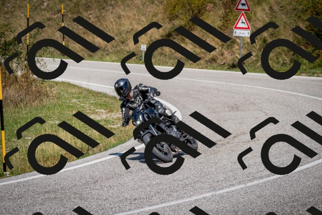 202509061250-DSC_1739_c2