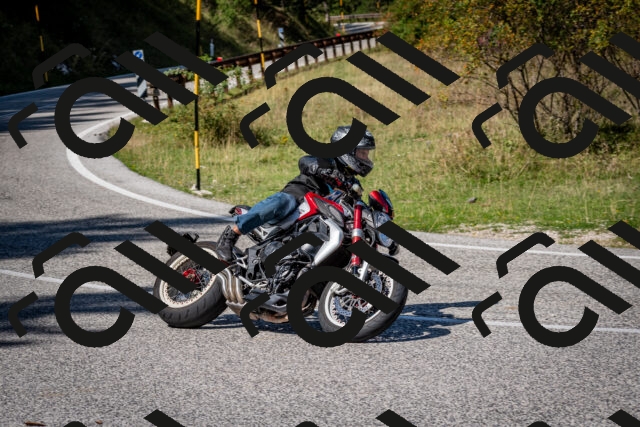 202509061250-DSC_1743_c2