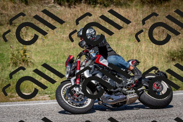 202509061251-DSC_1748_c2