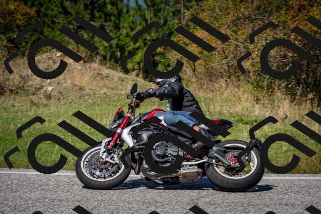 202509061251-DSC_1749_c2