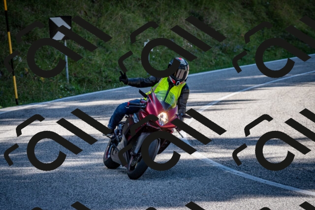 202509061251-DSC_1750_c2