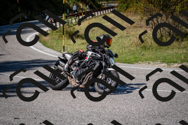 202509061251-DSC_1753_c2