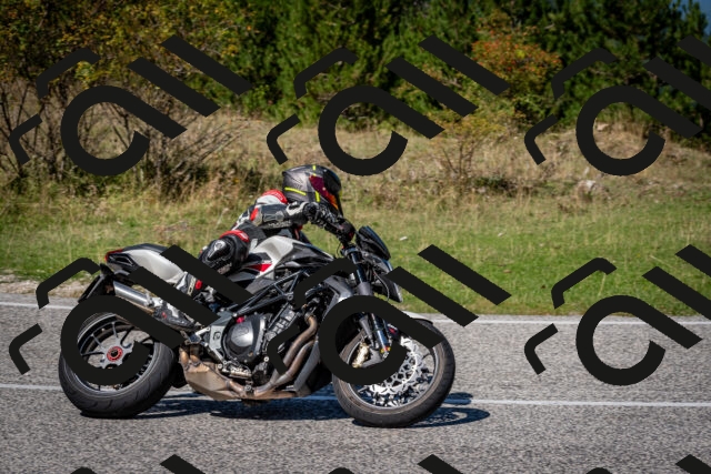 202509061251-DSC_1754_c2