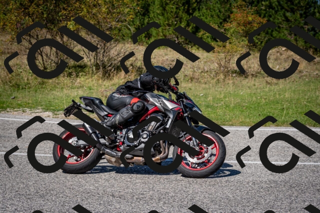 202509061251-DSC_1756_c2