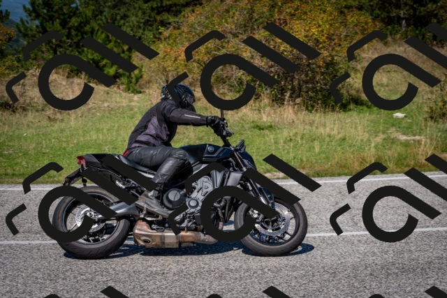 202509061251-DSC_1770_c2