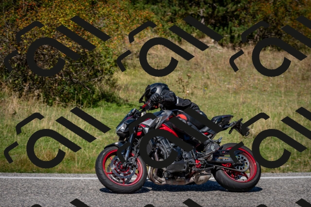 202509061252-DSC_1773_c2