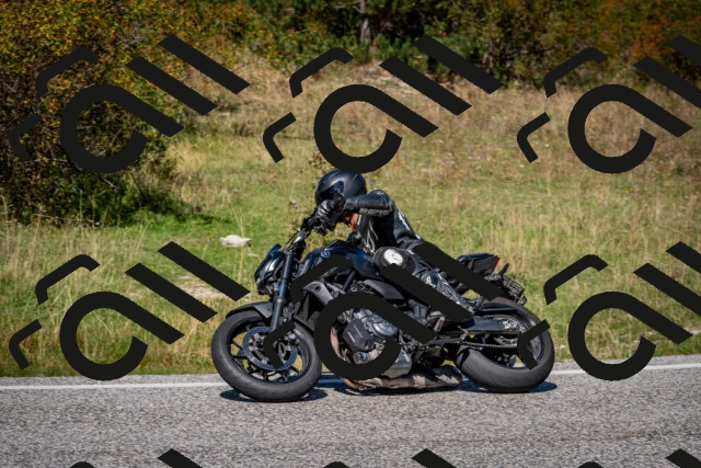 202509061252-DSC_1775_c2