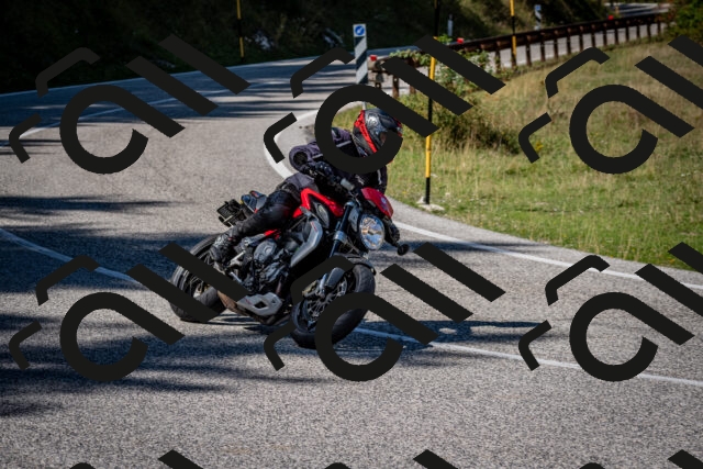 202509061252-DSC_1776_c2