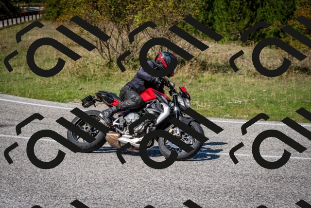 202509061252-DSC_1777_c2