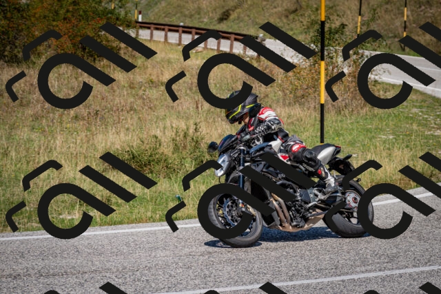 202509061252-DSC_1783_c2