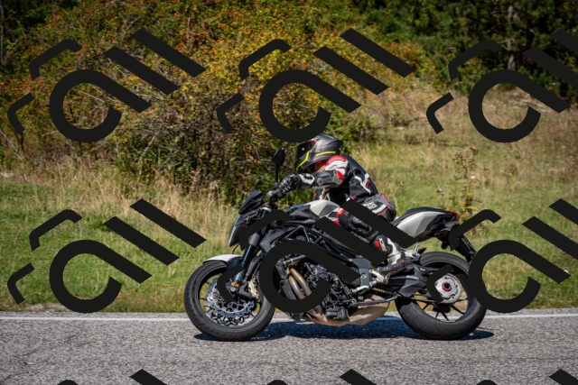 202509061252-DSC_1784_c2