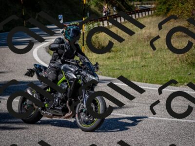 202509061252-DSC_1788_c2