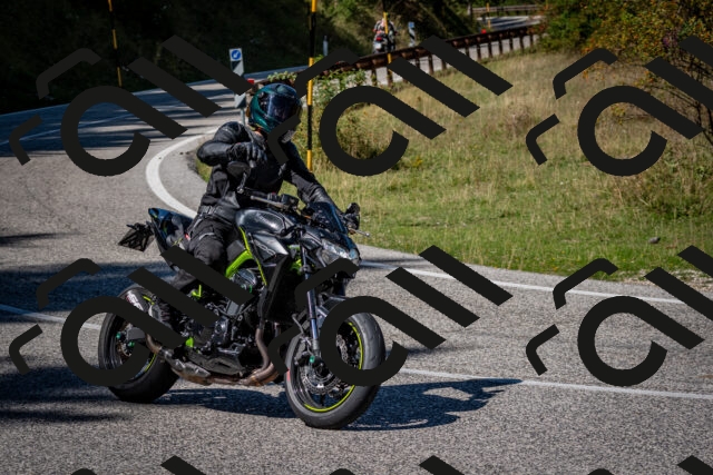 202509061252-DSC_1788_c2