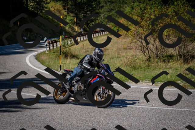 202509061252-DSC_1791_c2