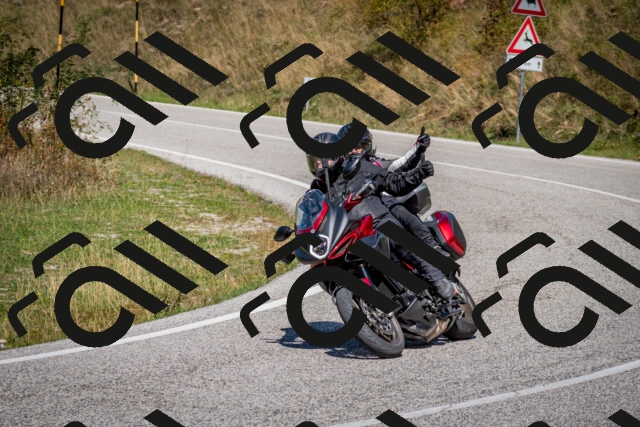 202509061252-DSC_1798_c2