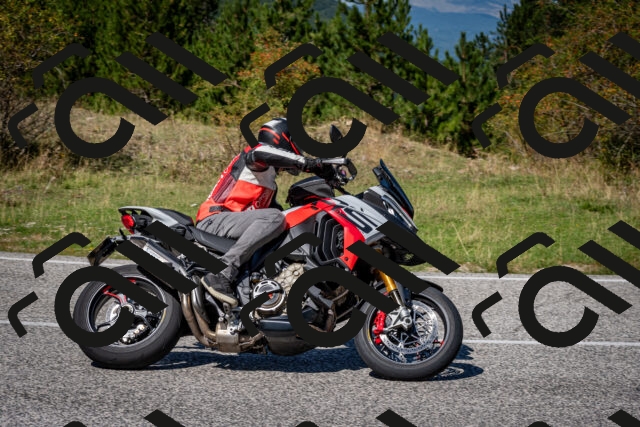 202509061252-DSC_1801_c2