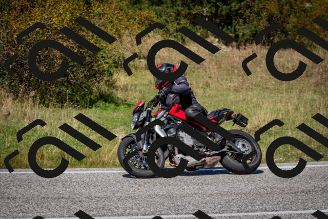 202509061252-DSC_1805_c2