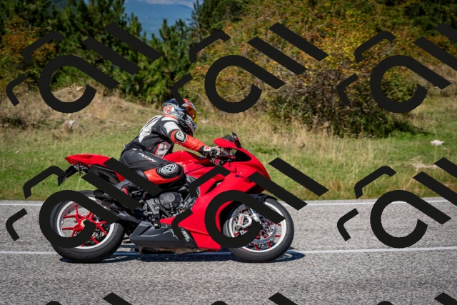 202509061253-DSC_1807_c2