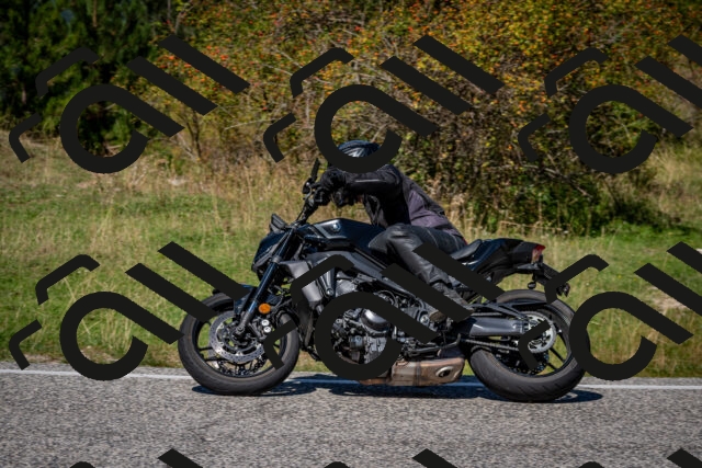 202509061253-DSC_1814_c2