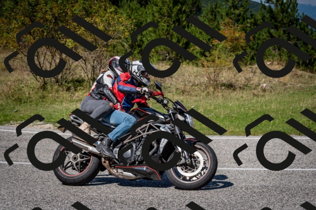 202509061253-DSC_1818_c2