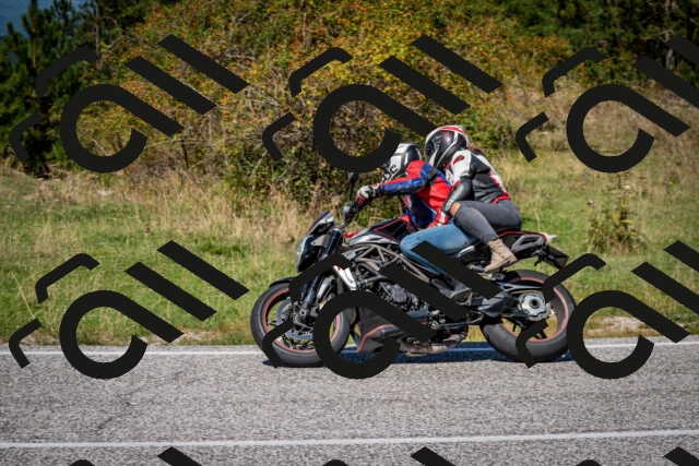 202509061254-DSC_1827_c2