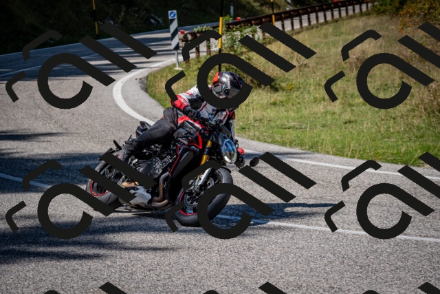 202509061255-DSC_1835_c2